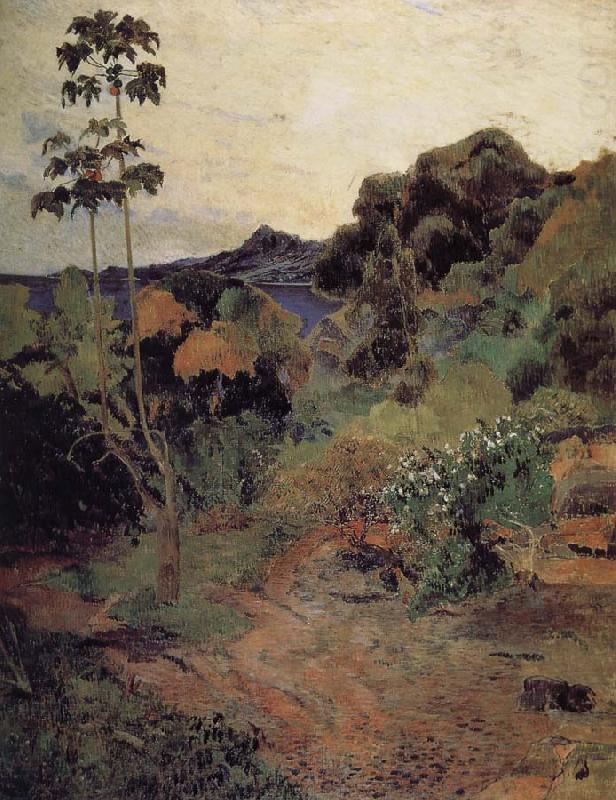 Martinique tropical plants, Paul Gauguin